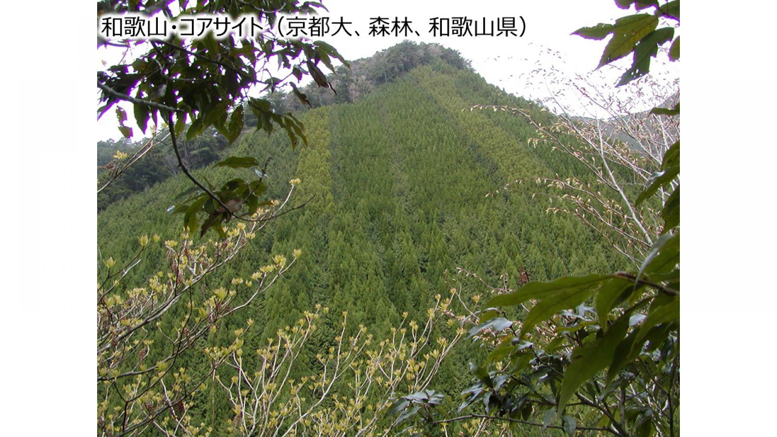 和歌山