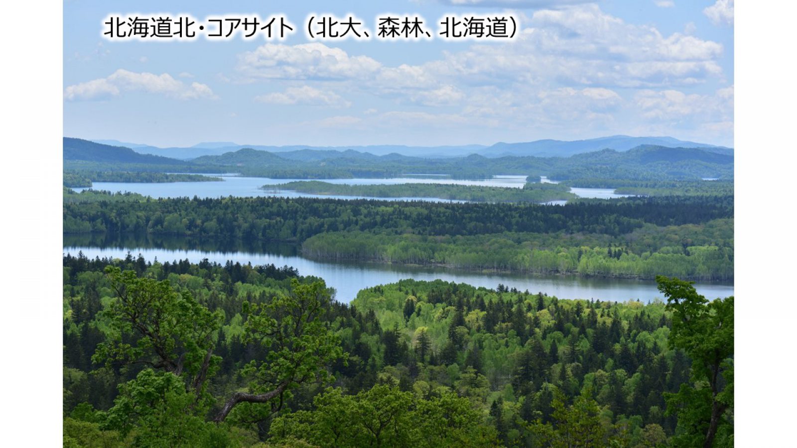 北海道北